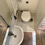 Nid douillet à Montmartre
